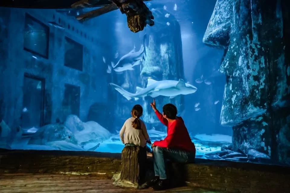 Advance Ticket: SEA LIFE London Aquarium – Entry Ticket - Image 7